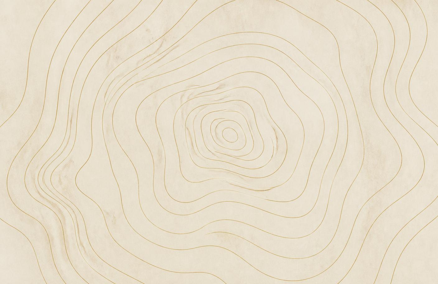 Fine gold contour lines radiating from a centre point